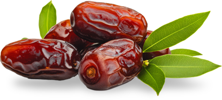 Dates